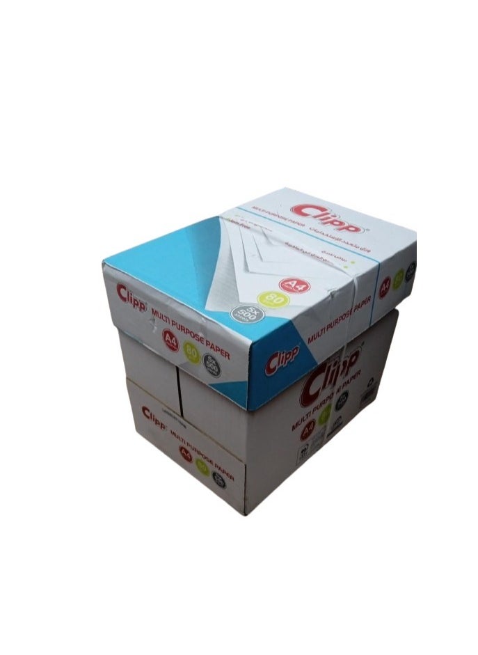 CLIPP 80 GSM A4 Size 5 Reams Per Carton Box  - Image 3