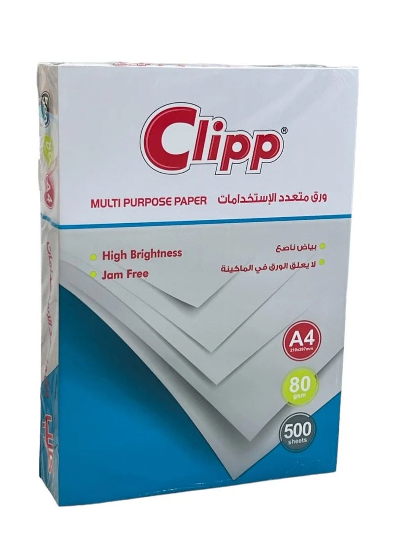 CLIPP 80 GSM A4 Size 5 Reams Per Carton Box  - Image 4