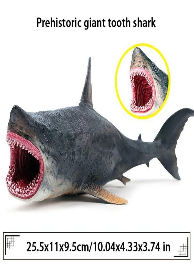 JOKFEICE Toys Megalodon Whale Figure - Realistic Hand-Painted Huge Shark Figurine - Animals Action Educational Learning Figures Sea Creature Toy Decorative Collection Gift for Kids - Image 3