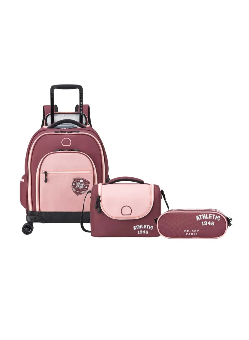 Delsey ACADEMIE 3-Piece Set 4-Wheel Vertical Trolley Backpack Bag Plum