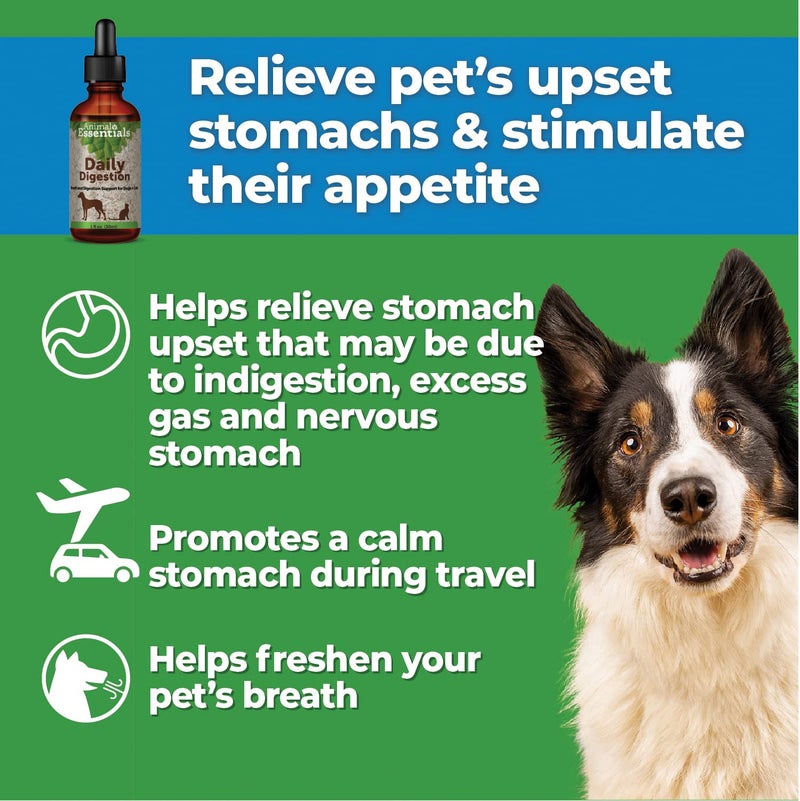Animal Essentials Daily Digestion for Dogs & Cats - Digestive Support, Fresh Breath, Ginger Root, Fennel Seed Extract, Liquid Supplement - 1 Fl Oz - Image 3