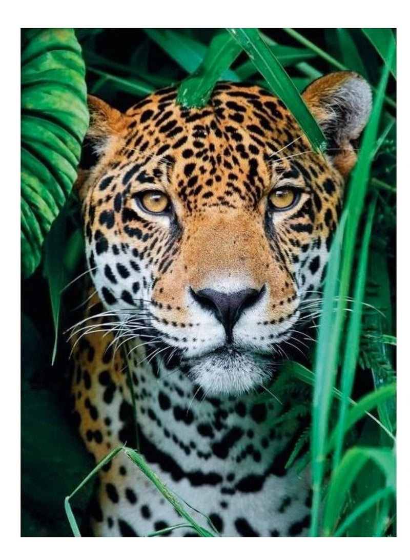 كليمينتوني بازل بازل الجاكوار 500 قطعه  -  35127 - Image 2