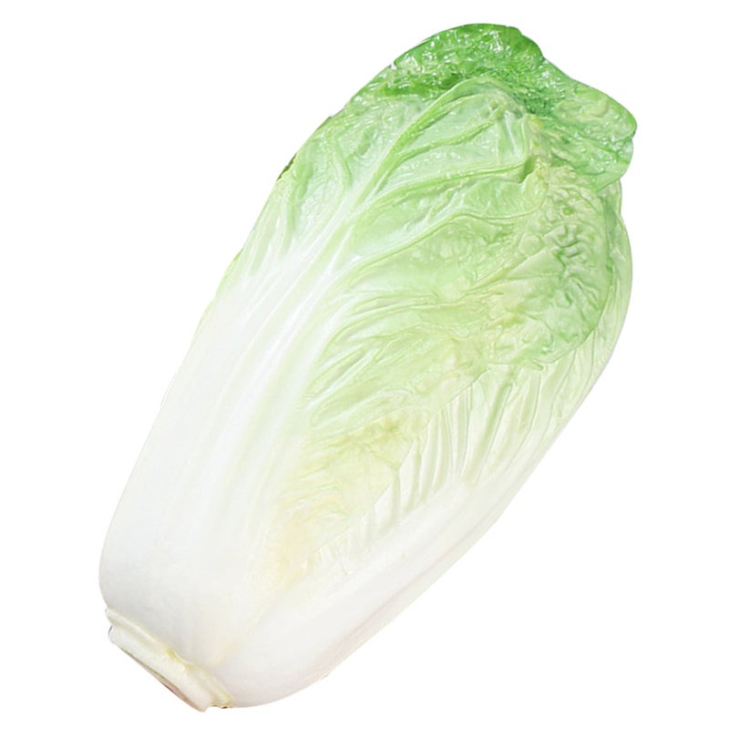 Fake Vegetable Artificial Vegetable Lifelike Chinese Cabbage Model Restaurant Display Prop - Image 3