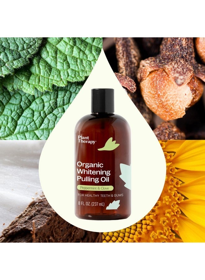 بلانت ثيرابي زيت تبييض الأسنان العضوي من بلانت ثيرابي، 8 أونصة، بنكهة النعناع والقرنفل، يُبيض الأسنان بشكل طبيعي، ويُنعش النفس، ويدعم صحة اللثة، ويساعد في تهدئة تهيج الفم وعدم الراحة، زيوت عطرية طبيعية - Image 4