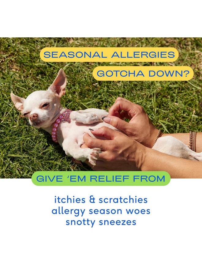 native pet - Dog Allergy Chews  Natural Dog Skin Itchiness Aid  Anti Itch For Dogs  For Dog Itch Support For Dogs Dog Probiotics For Itchy Skin  Dog Chew  60 Chews - Image 1
