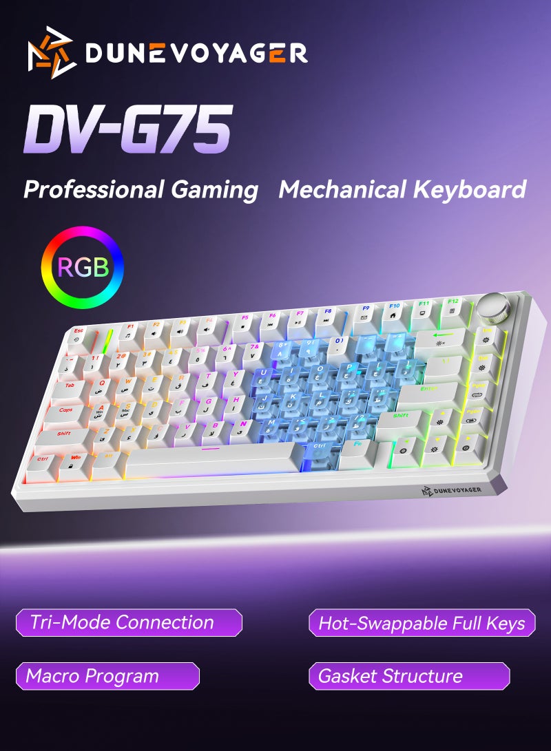 مسافر الكثبان لوحة مفاتيح ألعاب ميكانيكية لاسلكية G75 بإضاءة RGB 16.8 مليون لون وبرنامج ماكرو، تصميم 75% مع 80 مفتاحا، هيكل Gasket، أغطية مفاتيح PBT مزدوجة الحقن، إضاءة خلفية، بطارية 8000mAh، وتبديل سريع لجميع المفاتيح - Image 1