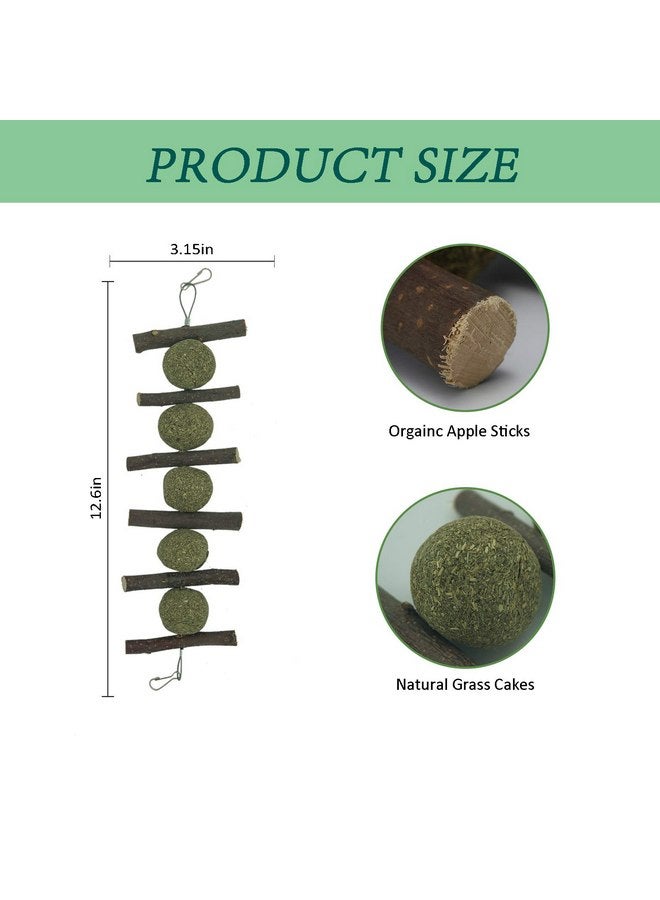 مكافآت الأرانب الطبيعية: أغصان من نبات البلوط مع كرات من عشب تيموثي وكعكة عشبية وألعاب مضغ معلقة للهامستر والأرانب والشنشيلة وخنازير غينيا - Image 5