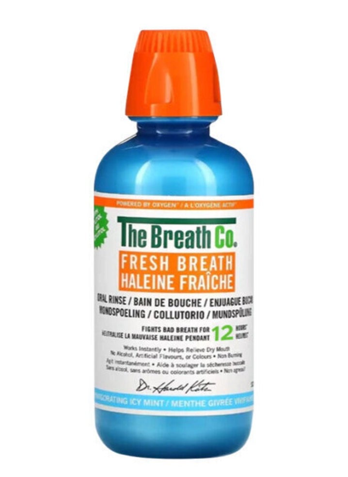 TheraBreath - Mouth Wash 500 ml Icy Mint - Image 1