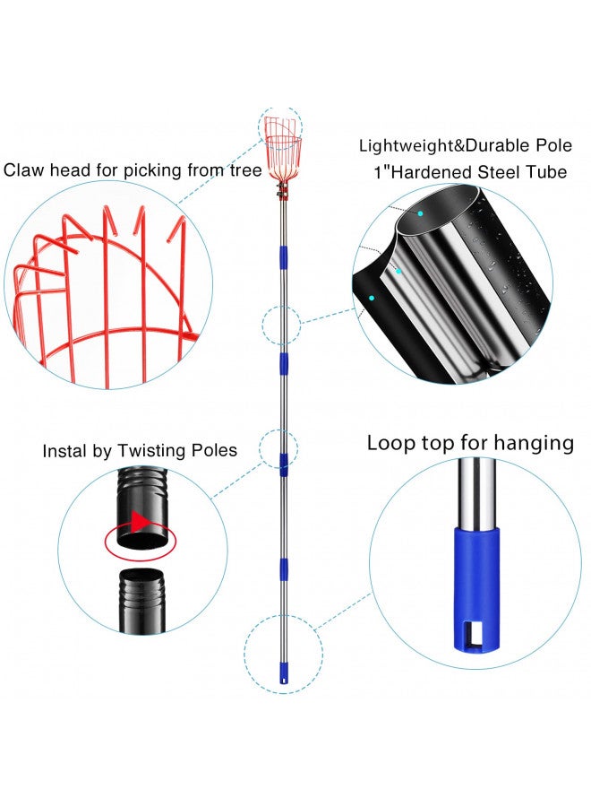 DonSail عمود قطف الفواكه من دونسايل مع سلة قابل للتلسكوب، عمود قطف البرتقال القابل للتعديل مع سلة بطول 35-150 بوصة، قطف المانجو والأفوكادو والتين والبندق والكمثرى والبرتقال والجريب فروت والليمون للفاكهة من الشجرة - Image 1