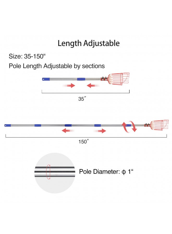 DonSail عمود قطف الفواكه من دونسايل مع سلة قابل للتلسكوب، عمود قطف البرتقال القابل للتعديل مع سلة بطول 35-150 بوصة، قطف المانجو والأفوكادو والتين والبندق والكمثرى والبرتقال والجريب فروت والليمون للفاكهة من الشجرة - Image 4