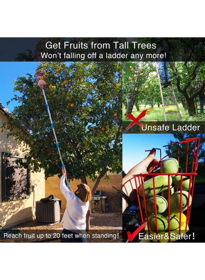 DonSail عمود قطف الفواكه من دونسايل مع سلة قابل للتلسكوب، عمود قطف البرتقال القابل للتعديل مع سلة بطول 35-150 بوصة، قطف المانجو والأفوكادو والتين والبندق والكمثرى والبرتقال والجريب فروت والليمون للفاكهة من الشجرة - Image 3