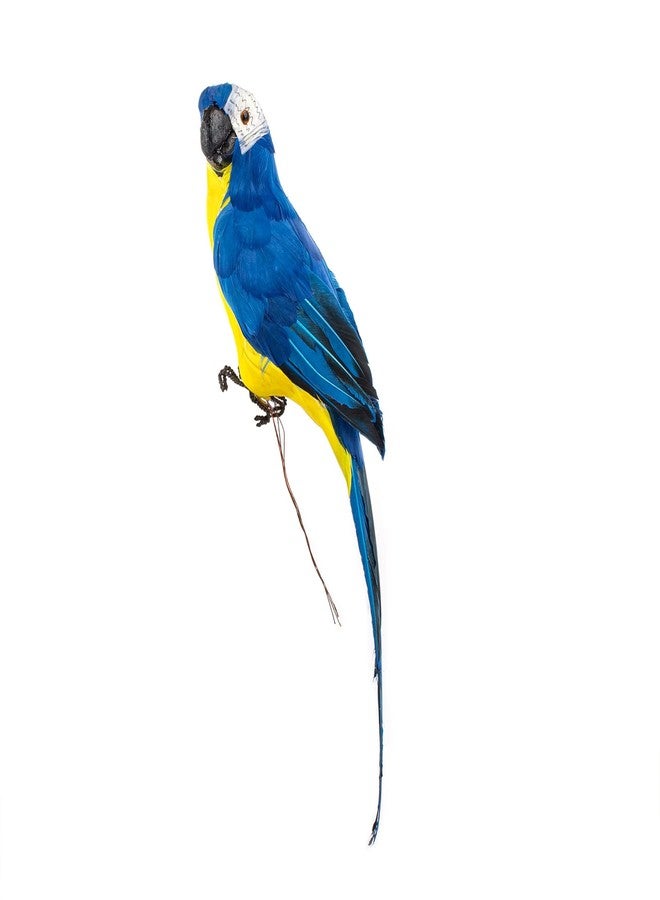 AUEAR, 17.7 Inch Blue Artificial Birds Realistic Big Parrot with Lifelike Feathered Decor Ornament Model for Decoration Craft - Image 1