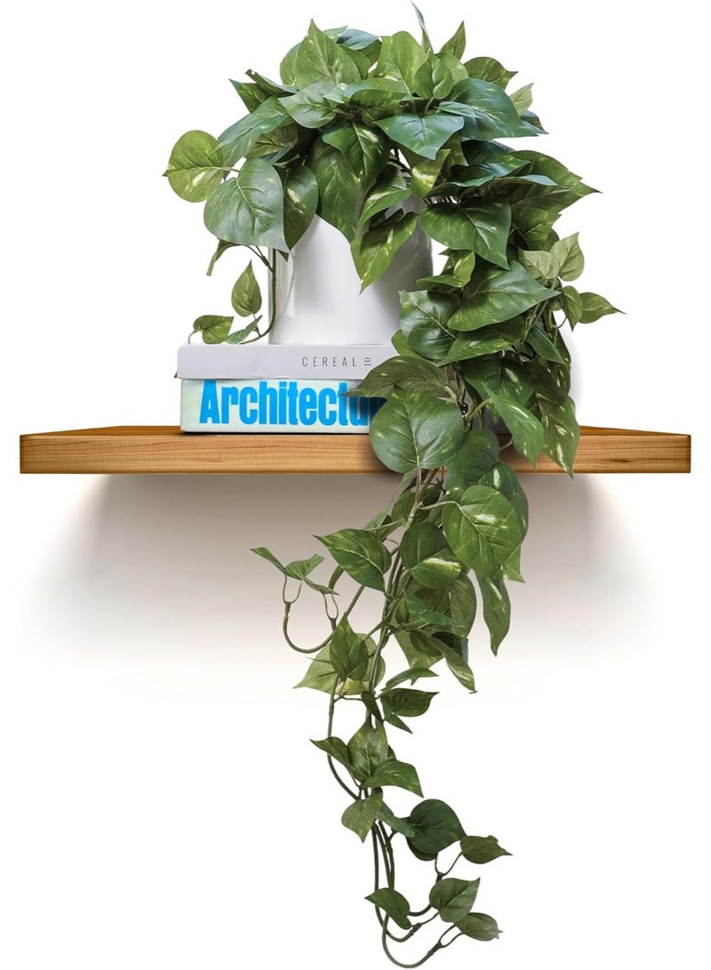 Artificial Pothos Plants Set of 2, Dark & Light Green with Long Stems, with Pot, for Indoor Decor - Image 1