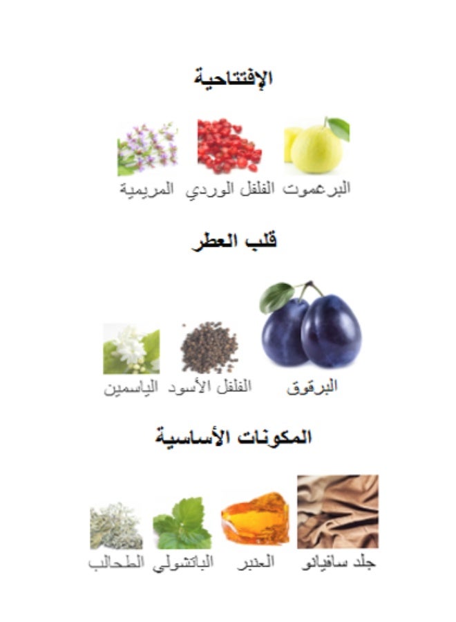 لطافة عطر النشامى للجنسين 100 مل - Image 4