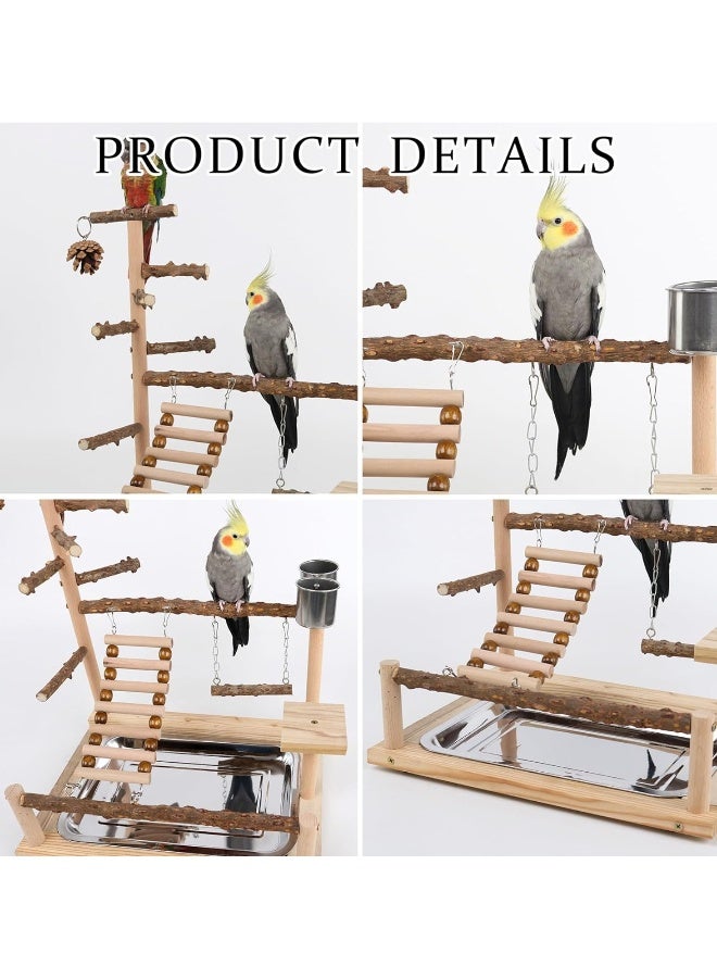 Generic Parrot Play Stand, Bird Playground, Natural Wood Parrot Stand with Feeder Cup Bird Perch Stand Play Gym Budgie Toys Parrot Perch for Cockatiel Lovebirds Budgies  - Image 4