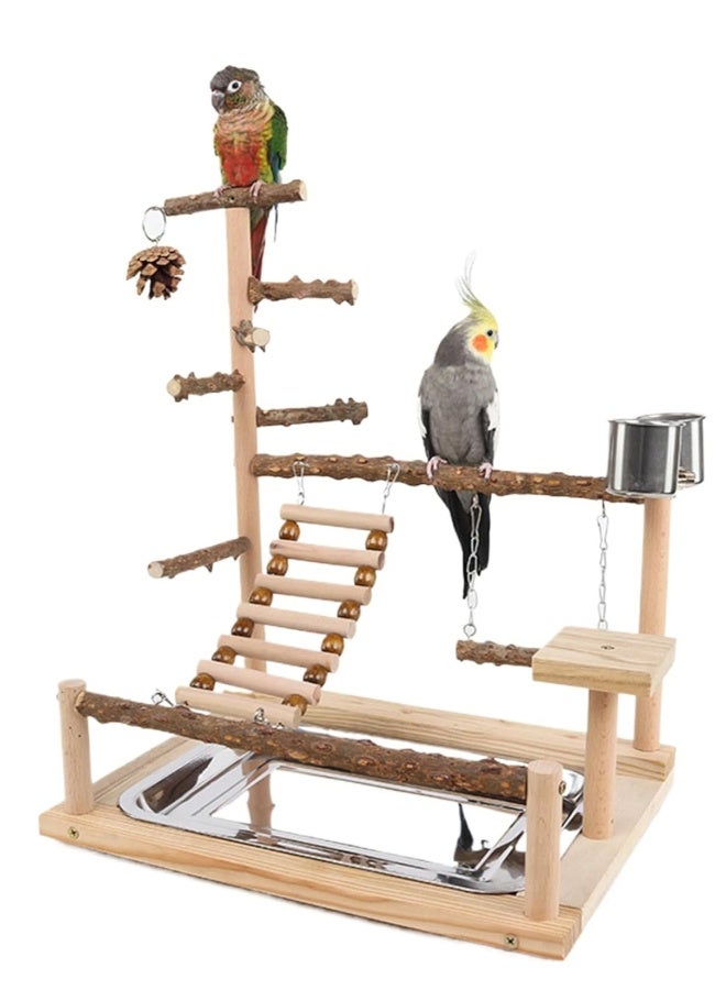 Generic Parrot Play Stand, Bird Playground, Natural Wood Parrot Stand with Feeder Cup Bird Perch Stand Play Gym Budgie Toys Parrot Perch for Cockatiel Lovebirds Budgies  - Image 5