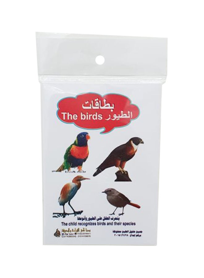 Birds Flash Card