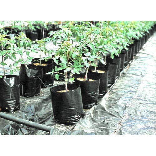 VINAYAKAMART HDPE Grow Bags 12x12 inch, Black, 25 pcs - Image 2