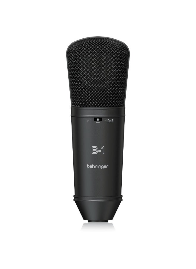 behringer B-1 DARK EDITION Gold-Sputtered Large-Diaphragm Studio Condenser Microphone  - Image 1