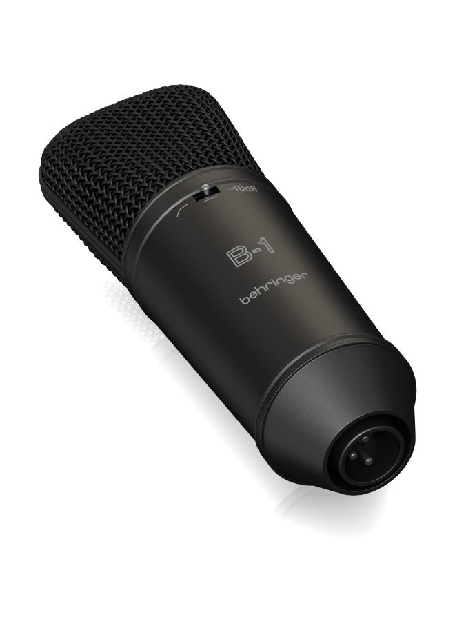 behringer B-1 DARK EDITION Gold-Sputtered Large-Diaphragm Studio Condenser Microphone  - Image 4