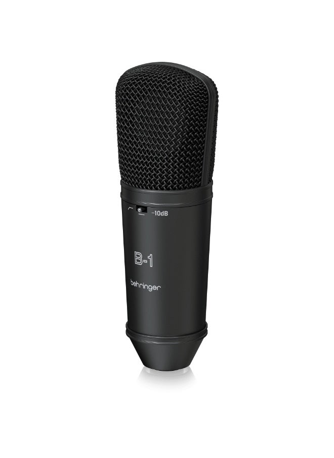 behringer B-1 DARK EDITION Gold-Sputtered Large-Diaphragm Studio Condenser Microphone  - Image 3