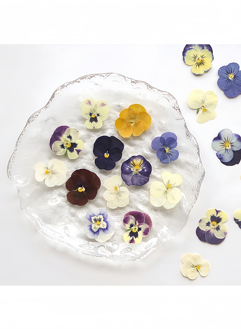 Peachjoy 18PCS Natural Dried Pressed Flowers Kit - Purple Pansy and Real Floral Decor for Resin Jewelry, Cakes, Candles DIY Crafts (Epoxy Art Supplies) - Image 1