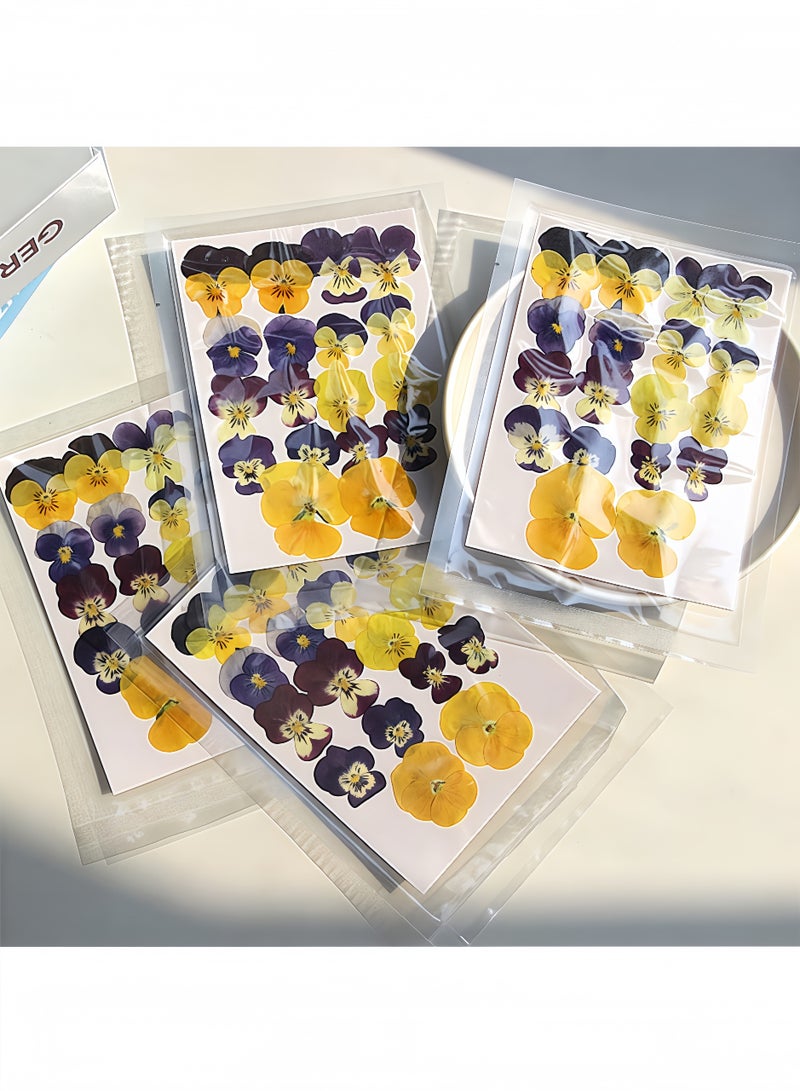 Peachjoy 18PCS Natural Dried Pressed Flowers Kit - Purple Pansy and Real Floral Decor for Resin Jewelry, Cakes, Candles DIY Crafts (Epoxy Art Supplies) - Image 2