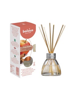 BOLSIUS True Scents Apple Cinnamon Fragrance Diffuser 45ml 