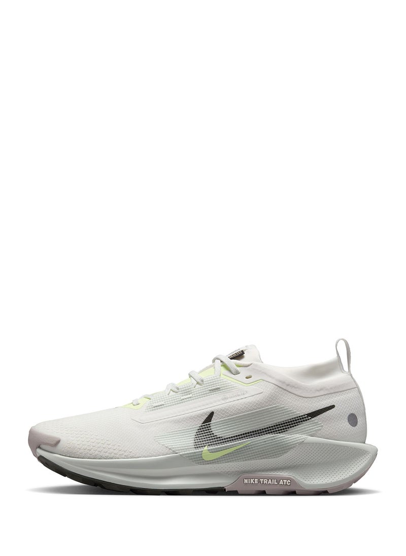 Nike - Reactx Pegasus Trail 5 Gtx - Image 1