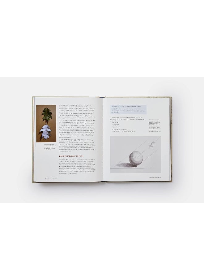 The Path of Drawing: Lessons for Everyday Creativity and Mindfulness  - Image 4