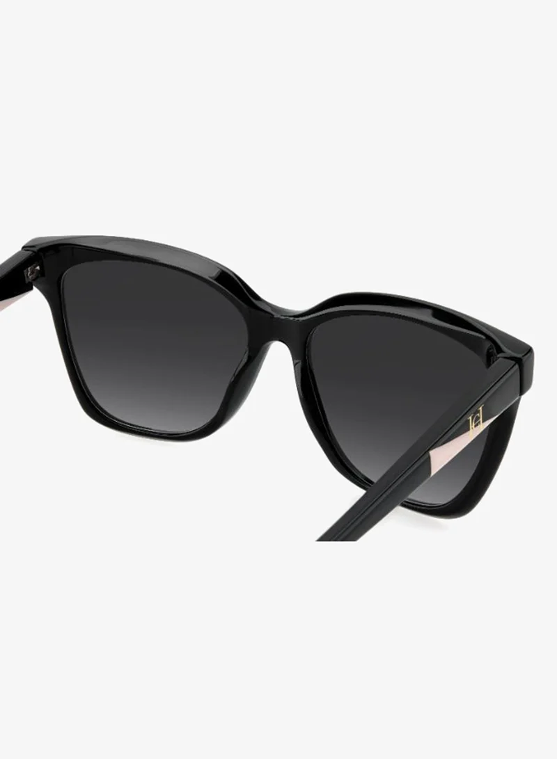 Carolina Herrera  Butterfly Carolina Herrera Sunglasses  | Best Price UAE