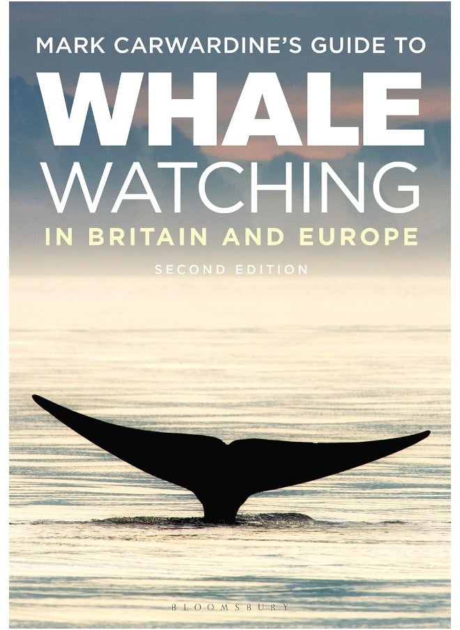 Mark Carwardine's Guide To Whale Watching In Britain And Europe 