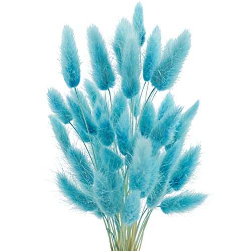 Uieke 17 Natural Bunny Tails Dried Flowers 50 Pcs Dried Lagurus Ovatus Dried Foxtail Grass for Flower Arrangements Wedding Centerpieces Home Boho Baby Shower Party Decorations Blue - Image 1