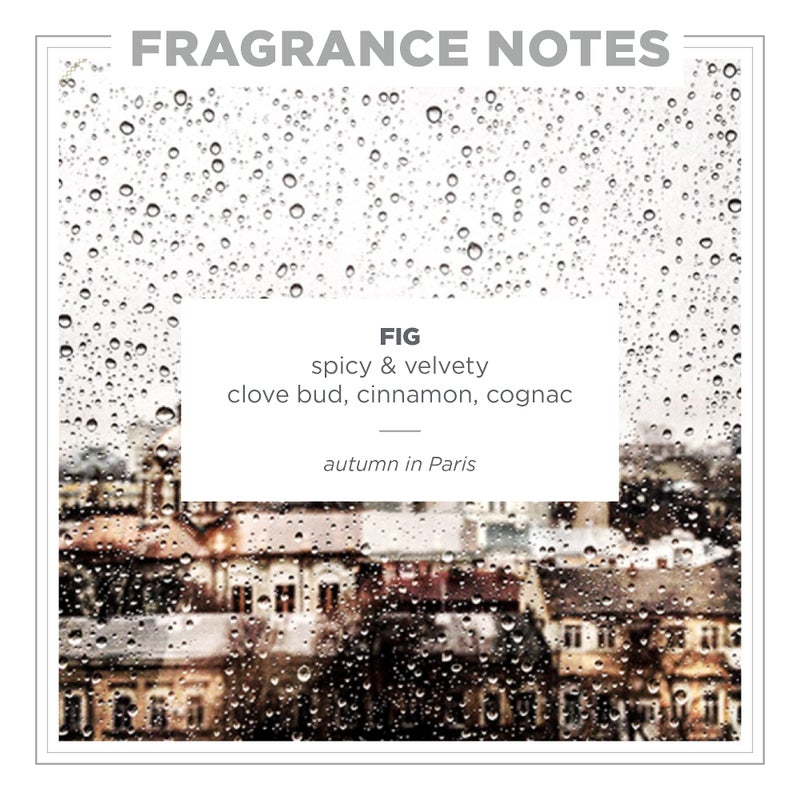 Zents Hand & Body Wash (Fig Fragrance) | Hydrating Anti-Aging Cleanser with Organic Shea Butter & Aloe for Dry Skin | Gentle & Nourishing | 10 fl oz - Image 2