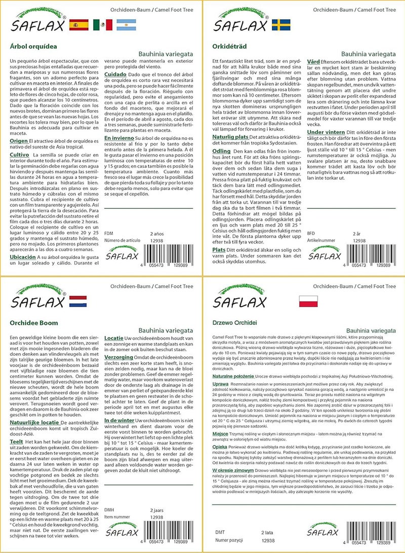 جي جوت مجموعة هدايا - شجرة قدم الجمل - 8 بذور - بوهينيا متنوعة - Image 4