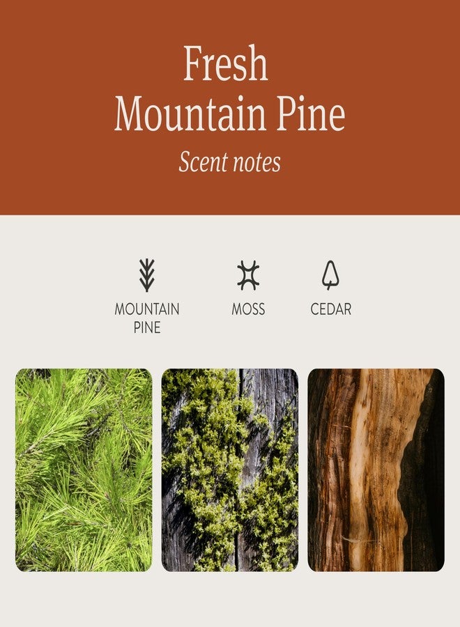 drift Wood Air Freshener Starter Kit- Pine - Image 3