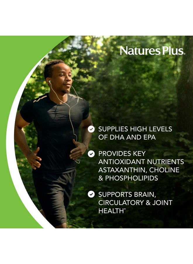 Natures Plus - Natures Plus Antarctic Krill Oil - 60 Softgels - Supports Brain & Joint Health - 60 Servings - Image 1