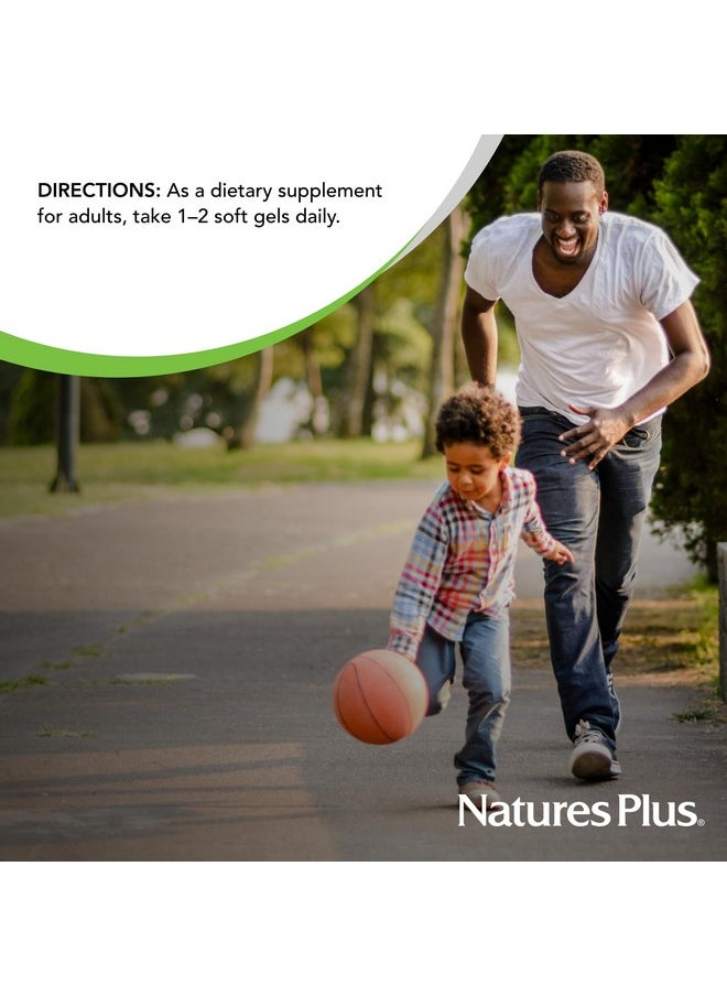 Natures Plus - Natures Plus Antarctic Krill Oil - 60 Softgels - Supports Brain & Joint Health - 60 Servings - Image 1