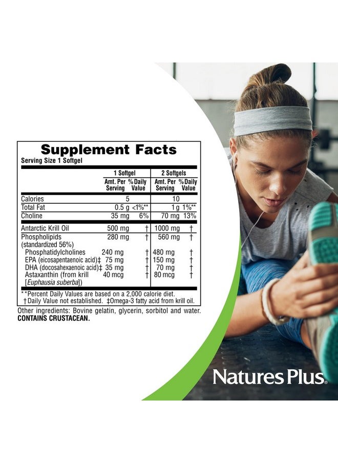 Natures Plus - Natures Plus Antarctic Krill Oil - 60 Softgels - Supports Brain & Joint Health - 60 Servings - Image 1