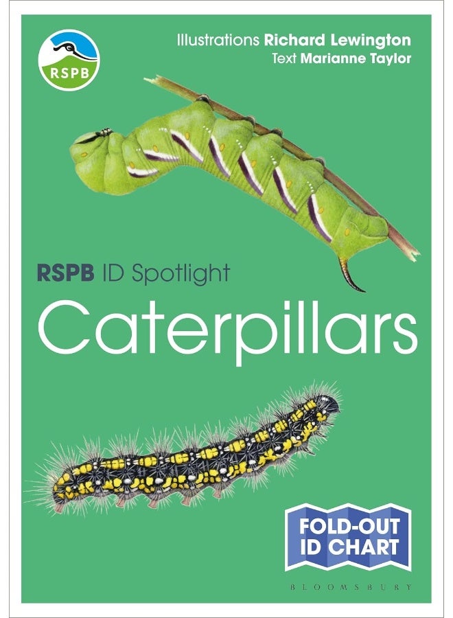 RSPB ID Spotlight - Caterpillars - Image 1