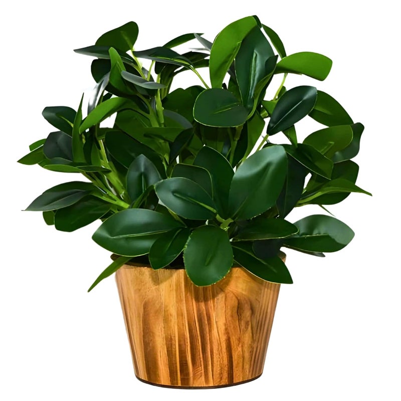 fancymart Artificial Plant Leaves in Wooden Pot Perfect Potted Decoration for Home Living Room & Office Spaces Décor Height - 26cm - Image 1