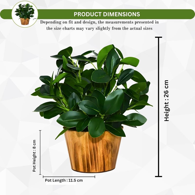fancymart Artificial Plant Leaves in Wooden Pot Perfect Potted Decoration for Home Living Room & Office Spaces Décor Height - 26cm - Image 4