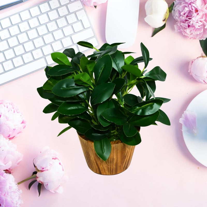 fancymart Artificial Plant Leaves in Wooden Pot Perfect Potted Decoration for Home Living Room & Office Spaces Décor Height - 26cm - Image 5