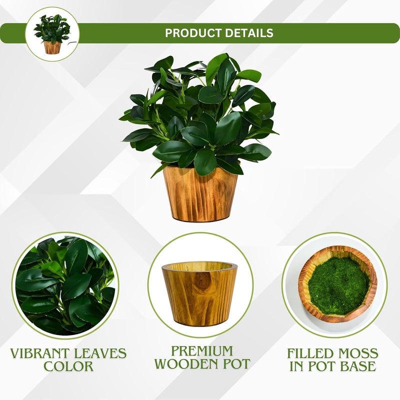 fancymart Artificial Plant Leaves in Wooden Pot Perfect Potted Decoration for Home Living Room & Office Spaces Décor Height - 26cm - Image 3