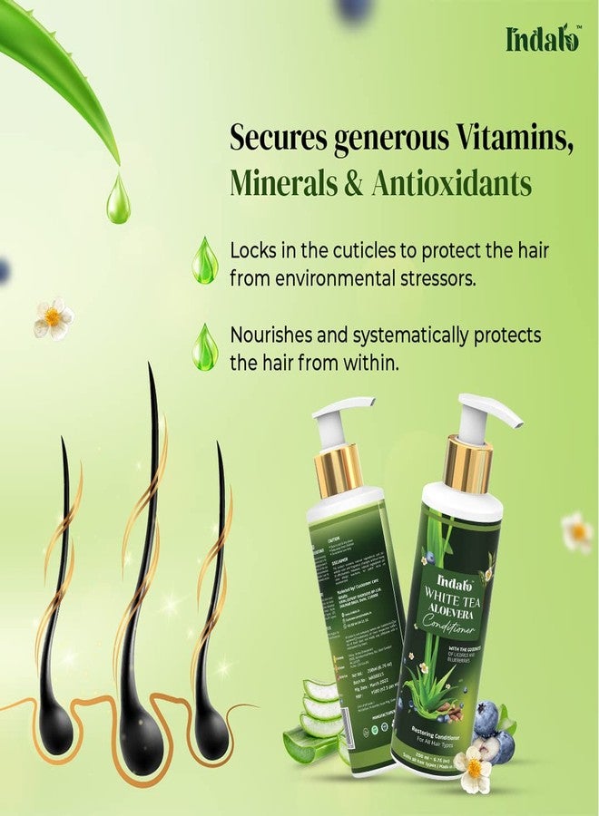 Indalo White Tea Aloe Vera Conditioner for Oily Hair | Hair Repair Natural Conditioner for All Types of Hair with the Goodness of Licorice and Blue Berries | Hair Strengthening Conditioner for Dull and Damaged Hair | Sulphate Free, Paraben Free, Silicone Free Conditioner - 200ml - Image 4