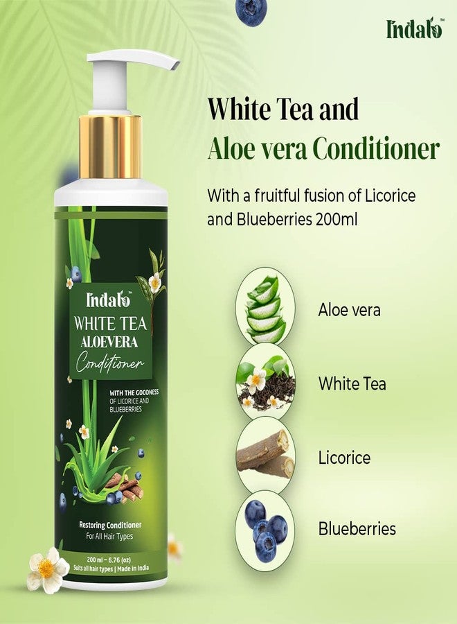 Indalo White Tea Aloe Vera Conditioner for Oily Hair | Hair Repair Natural Conditioner for All Types of Hair with the Goodness of Licorice and Blue Berries | Hair Strengthening Conditioner for Dull and Damaged Hair | Sulphate Free, Paraben Free, Silicone Free Conditioner - 200ml - Image 2
