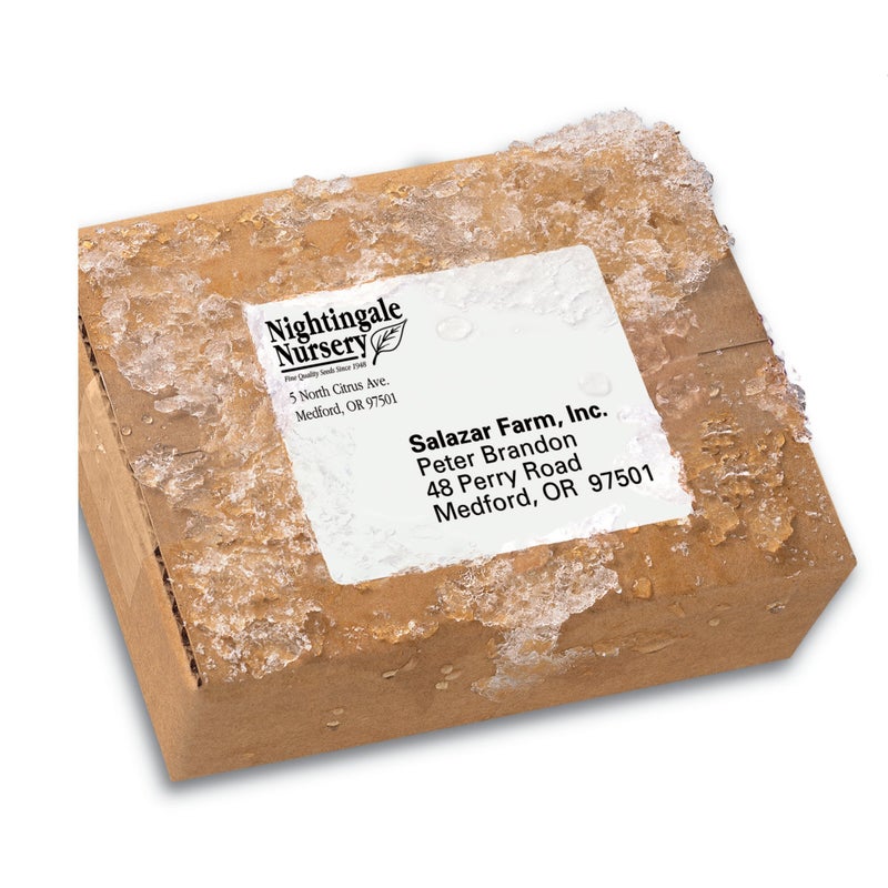 Avery Waterproof Printable Shipping Labels with Sure Feed, 3-1/3" x 4", White, 300 Blank Mailing Labels (5524) - Image 4