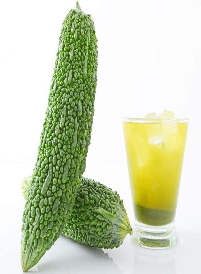 جي جوت 100 قطعة من بذور القرع المر، نبات كرمة إرثية غزير الإنتاج، أزهار صفراء، رائحة طيبة، ديكور، بيئة جميلة للزراعة في الهواء الطلق - Image 1