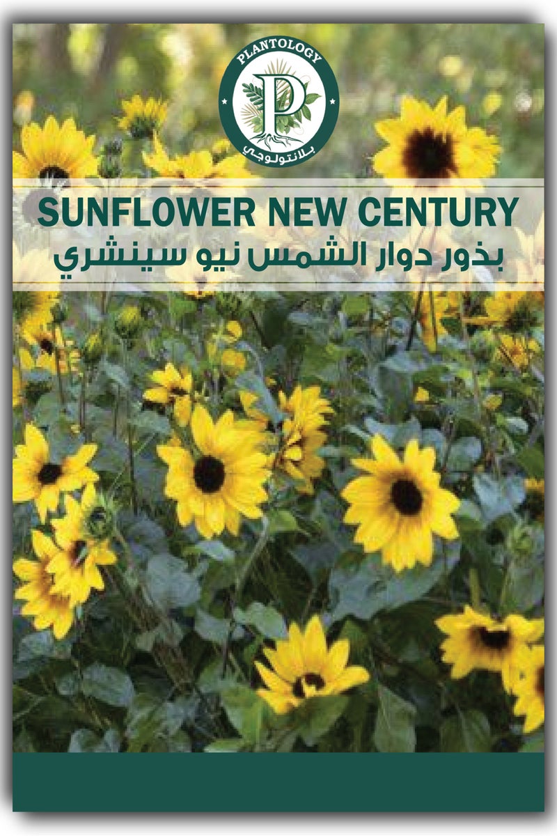 Sunflower New Century Seeds for Planting - Sunflower Seeds for Planting in Home Garden Lawn