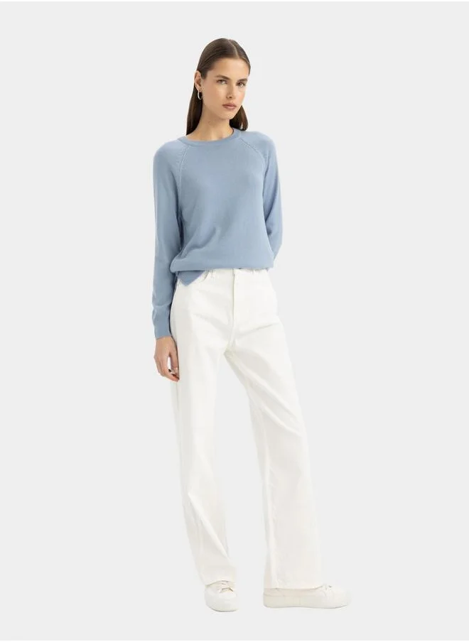 ديفاكتو Solid Raglan Sleeve Regular Fit Sweater by Styli